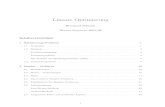 Lineare Optimierung - Philipps-Universitأ¤t Marburg schmitt/lop/lo05w_v.pdfآ  1 OPTIMIERUNGS-PROBLEME