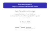 Neuronendynamik: Signaltransduktion bei Neuronen€¦ · Neuronendynamik: Signaltransduktion bei Neuronen Assja, Frank, Simon, Mara, Julia Westfälische Wilhelms-Universität Münster