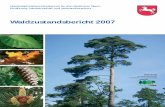 Waldzustandsbericht 2007€¦ · sen. Dieser Bericht dient mehreren Zielen: Zum einen dokumentiert er die großräumigen Veränderungen der Vi-talität unserer Wälder anhand des