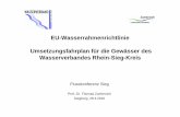 EU-Wasserrahmenrichtlinie Umsetzungsfahrplan für die ... · Präsentation des Umsetzungsfahrplanes Abstimmung Workshop 1 Workshop 2 Workshop 3 Ermittlung und Aufbereitung der Grundlagendaten