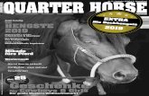 EXTRA Die Deckhe ngste 2019 - Quarter Horse Journal€¦ · IRHA Non Pro L4 Derby Champion 2018 NRHA CS Classic Non Pro Champion NRHA European Derby Ancillary show Non Pro Champion