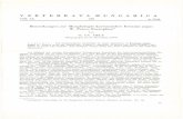 Bemerkungen zur Morphologie koreanischer Eremia argus s W ...publication.nhmus.hu/pdf/verthung/verthung_1981_vol20_55.pdf · A bstract: The morphologica variabilit o somfy specimenel
