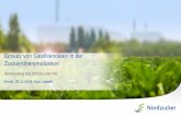 Einsatz von Satellitendaten in der Zuckerrübenproduktion€¦ · 3.200 Mitarbeiter Europaweit aufgestellt 17 Millionen Tonnen Rübenverarbeitung Solide Beteiligungsstruktur (Anbauer