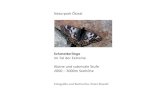 SCHMETTERLINGE OETZTAL 2000+ ©peter stoeckl 2014 · PDF file Naturpark Ötztal Schmetterlinge im Tal der Extreme Alpine und subnivale Stufe 2000 – 3000m Seehöhe Fotografie und