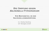 DIE IMPFUNG GEGEN SALMONELLA TYPHIMURIUM€¦ · die impfung gegen salmonella typhimurium ein bestandteil in der salmonellenbekÄmpfung dr. monika köchling idt biologika gmbh
