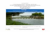 2016-03-14 Genehmigungsantrag Hd D am Wehr Osterloh.docx) · Anlage 6.3: Hydraulische Berechnungen NLWKN Anlage 6.4: Grundwassermodell von GGU (Gesellschaft für Grundbau und Umwelt-technik