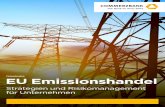 Firmenkunden EU Emissionshandel€¦ · Unternehmen erhalten im Februar eines Jahres eine kostenlose Zuteilung an EU Emissions- bere chtigungen und müssen im April des Folge-jahres