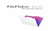 FileMaker Pro 12 · 2020-05-11 · Genehmigung von FileMaker weder vervielfältigen noch vert eilen. Diese Dokumentation darf ausschließlich mit einer gültigen, lizenzierten Kopie