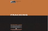 HWWI Fracking :Inhalt Teil 1 RZ Kopie€¦ · Hydraulic Fracturing (Fracking) gefördert werden. Hierbei wird ein Gemisch aus Wasser, Quarz - sand und Chemikalien in den Boden gepumpt,