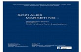 SOZIALES MARKETING · Freie wissenschaftliche Arbeit zur Erlangung des akademischen Grades einer Diplom-Medienwirtin an der Universität Siegen SOZIALES MARKETING - Werbekooperationen