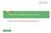 Rheinlandbericht 2012 - uni-due.de · 2 Handelsblatt, „Zahl der Erwerbstätigen erreicht Rekordhoch“ vom 02.01.2013. 3 Institut der deutschen Wirtschaft (2012). Die Älteren sind