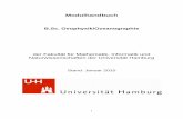 Stand: Januar 2010 - uni-hamburg.de · 2015-01-01 · 1 Modulhandbuch B.Sc. Geophysik/Ozeanographie der Fakultät für Mathematik, Informatik und Naturwissenschaften der Universität