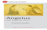 Angelus - kathTubedocument.kathtube.com/4393.pdf · Oktober 1978 hat Johannes Paul II. erstmals öffentlich den Angelus am Petersplatz gebetet. Den Jugendlichen rief er die unvergesslichen
