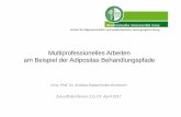 Multiprofessionelles Arbeiten am Beispiel der Adipositas … · 2017-04-10 · Übergewicht und Adipositas • Österreich – 42% der Erwachsenen – 24% der Kinder im Alter zwischen
