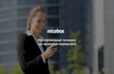 miceboxmicebox.ru/micebox.pdf · Презентация PowerPoint Author: Патраман Алина Created Date: 1/21/2020 12:50:02 PM ...