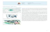 Kasernenareal, Stadt Aarau · PDF file der Stadt Aarau als Orientierung für den langjährigen Entwicklungsprozess dienen. Eine Handlungsempfehlung für die raumplanerische Umsetzung