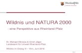 Wildnis und NATURA 2000 · 2016-06-22 · N2000 und Wildnis: Werkzeug –Rahmen Weil es in N2000 um Erhaltung UND Entwicklung geht (letzteres bisher zu wenig im Blick), brauchen wir