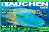 TAUCHEN · 2020-06-09 · stellen ihre Topspots vor Nanight „Sport 2“20 • Reise-Facts 34 • TAUCHEN-Leserreise 35 • Sudan – Tummeplatz der Haie 36 • Auszug aus dem Buch