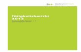Tätigkeitsbericht 2013 · 2015-04-08 · Deutschland, als eine der führenden Industrie-nationen, ist daher unter internationalen Stu-dierenden als Studienstandort vor allem auf-grund