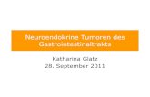 Neuroendokrine Tumoren des Gastrointestinaltrakts · PDF file neuroendokrine Tumoren TNM UICC 7. Auflage: S.89 gastrointestinale neuroendokrine Tumoren Diese Klassifikation gilt für