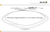 Nuclear fragmentation in ion beam Nuclear fragmentation in ion beam therapy c.schuy@gsi.de. GSI Helmholtzzentrum
