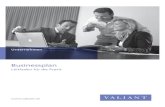 Leitfaden für die Praxis - Valiant Bank › ... › Finanzieren › Prospekt_Business-Plan_D.p… · Rohentwurf zu Ihrem Businessplan erstellen. Schritt 8 Plausibilität des Finanzteiles