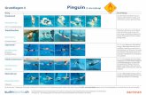 Grundlagen 4 Pinguin (5- bis 6-jährig) - swimsports.ch › pdf › Pinguin.pdfGrundlagen 4 Pinguin (5- bis 6-jährig) Übung Beschreibung Handstand Wassergewöhnung Hüft- bis brusttiefes