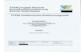 SeaTerra TFEM Projekt Bericht Kampfmittelsondierung ...daten.transparenz.hamburg.de/Dataport.HmbTG.ZS.Web... · SeaTerra Geophysik & Kampfmittel Dienstleistungen GmbH 'fJ) Geophysics