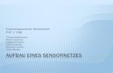 AUFBAU EINES SENSORNETZES - HTW Dresdenwiki_sn/images/8/88/...gesucht: günstige, freie Lösungen für den Massenmarkt Einführung Heim-Server Sensorsteuerung Contiki OS Forschungsseminar