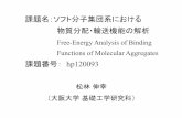Free-Energy Analysis of Binding Functions of …課題名：ソフト分子集団系における 物質分配・輸送機能の解析 Free-Energy Analysis of Binding Functions of Molecular