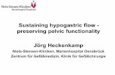 Sustaining hypogastric flow - preserving pelvic functionality Jörg Heckenkamp · 2017-10-26 · Aorto-Iliac Artery Aneurysm Management First Experiences with Coil-and-Cover •Occlude