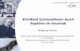 Kleinkind-Salmonellosen durch Reptilien im Haushalt...Kleinkind-Salmonellosen durch Reptilien im Haushalt Dr. Wolfgang Rabsch Salmonellose Art der Übertragung: häufig: Lebensmittelinfektion: