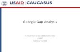 Georgia Gap Analysis - USEmbassy.gov · Second stage reforms include banking reforms, non-bank financial sector reforms, infrastructure including energy, governance, and competition