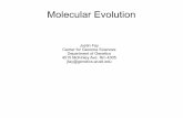 Molecular Evolution - Washington University 2017-04-10آ  Molecular Evolution Justin Fay Center for Genome