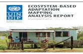 ECOSYSTEM-BASED ADAPTATION MAPPING ANALYSIS REPORT · to conserve, manage and rehabilitate ecosystems for mitigation of, and adaptation to, climate change. This report outlines UNDP’s