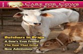 March 2009 Care for Cowscareforcows.org › cfc › download › newsletters › CFCNewsMarch2009.pdfregistered in India, USA, Holland and Switzerland. The CFCStaff ... Yudisthira