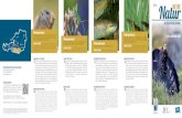 NPNB Themenfolder Natur Endversion › download › ...NaturMEINE IM BIOSPHÄRENPARK LandKärnten Nockberge Biosphärenpark Sie möchten mehr ... ... über die Natur im Biosphärenpark