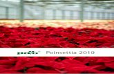 Poinsettia 2019 - Elsner PAC - deutsch · 2019-01-18 · of poinsettia takes place annually, in which varieties of leading breeders are produced side by side as a multibranched plant