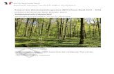 Entwurf des Waldentwicklungsplans (WEP) Basel-Stadt 2019 – 2034 · 2020-05-11 · Dieser WEP ze igt für das gesamte Waldgebiet des Kantons Basel-Stadt auf, wie der Wald die an