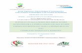 MASTER EIE 2017-2018biblio.univ-antananarivo.mg/pdfs/... · 2020-01-20 · TGK : Tsitongambarika UICN : Union International pour la Conservation de la Nature VOI : VondronOlona Ifotony
