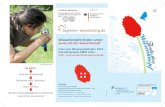 Wiesenknöpfe finden unter: Finde den Wiesenknopf – eine Citizen Science Aktion im Rahmen des Wissenschaftsjahres 2012 - Zukunftsprojekt ERDE Der Große Wiesenknopf Sanguisorba officinalis