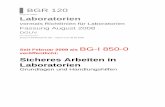 Sicheres Arbeiten in Laboratorien - Goethe University Frankfurt · 2015-02-02 · Laboratorien vormals Richtlinien für Laboratorien Fassung August 2008 DGUV AK Laboratorien Entwurf