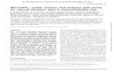 WormQTL—public archive and analysis web portal …WormQTL—public archive and analysis web portal for natural variation data in Caenorhabditis spp L. Basten Snoek1, K. Joeri Van