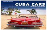 kühlerfiguren car mascots · de coches antiguos. Apenas existe un coche de época en Cuba que no tenga una – tanto si es original, copiada o incluso de diseño propio. Todas ellas