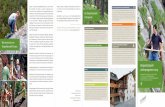 Bergwaldprojekt Jahresprogramm 2019 · der Schweiz, zum Beispiel in den Kantonen Graubünden, Schwyz, St. Gallen oder Wallis. Schulen und Lehrlingsgruppen Projektwochen von April