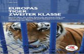EUROPAS TIGER ZWEITER KLASSE - media.4-paws.org€¦ · 4. Unbekannte Anzahl von Tigern in Gefangenscha 21 4.1 Vergleich der Zahlen aus den Behördenanfragen mit den CITES-Zahlen