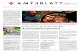 AMTSBLATT - uni-halle.deparadigmaps.geo.uni-halle.de/h2oextrem/sites/... · 29. Juni 2013 · 21. Jahrgang/ Ausgabe 11 der Stadt Halle (Saale) Kunstgarten ist geöffnet AMTSBLATT Noch