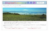 MAY 2020 VOL 173 - VOL 173 10 年ほど前に中国の広州市にある客家土楼へ行った時、途中の山の中に茶畑があ りました。車窓から撮りまくっていました、日本とは栽培方法が違うものですね。こ