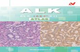 ALK iAEP キット ATLAS...Break Apart FISHプローブ キット」が使用されていますが、弊社では世界に先駆けてALK陽性肺癌の診断に用 いていただける体外診断用医薬品承認を取得した免疫染色キットを発売致しました。