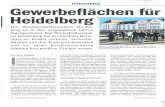  · von Patton Barracks/Motorpool stellt nur einenAnteil von 7 , 5 Prozent an den gesamten Konversionsflächen von Heidelberg dar Wüde aber zumindest 20 Prozent des er- mittelten